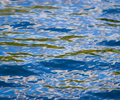 Salish Sea Reflection photo