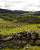 Scotland Fence photo