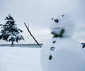 Cortes Island Winter photo